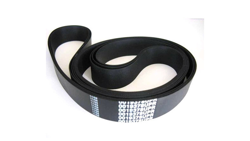 Dây Curoa chính hãng